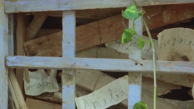 Магнолия | Magnolia смотреть онлайн