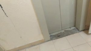 ЛИФТЫ ЩЛЗ ЛОМАЮТСЯ У МЕНЯ НА ГЛАЗАХ! ПОЛНАЯ ЖЕСТЬ!