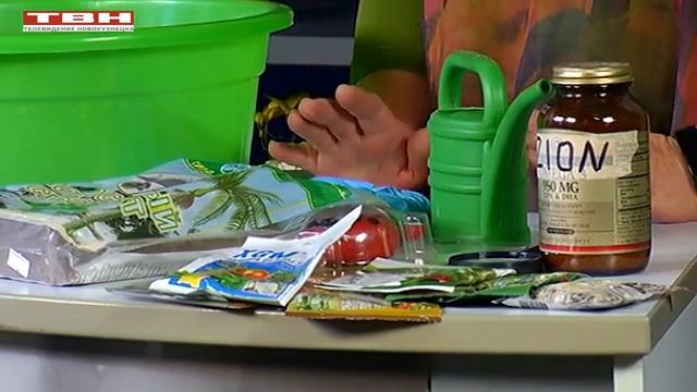 Вперед, товарищи! На дачу! Выпуск 19.07.22 г