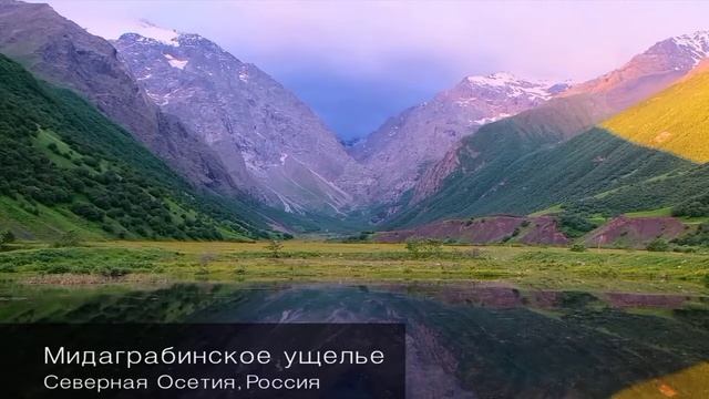 Мир природы #2022