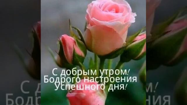 Ассалам алейкум