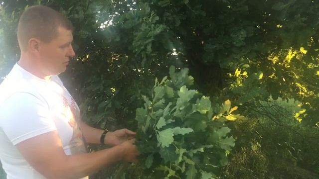 ВЕНИК ДЛЯ БАНИ ИЗ ДУБА смотреть онлайн