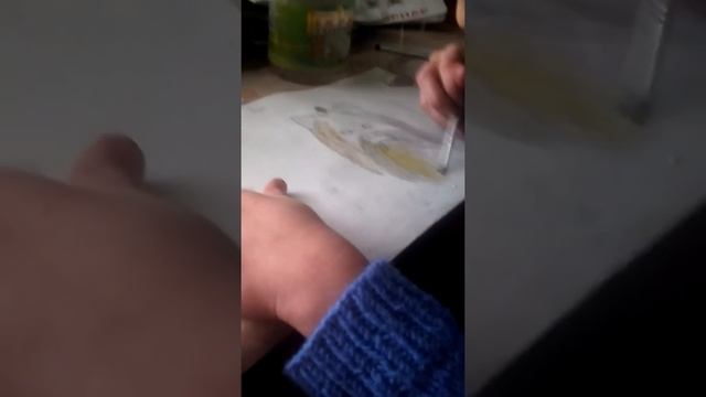 Валерия Шевченко,рисуем йорка смотреть онлайн