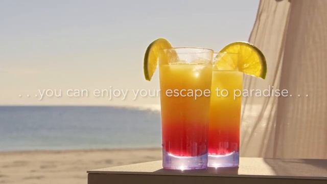 Paradise is open again! We can't wait to welcome you back. смотреть онлайн