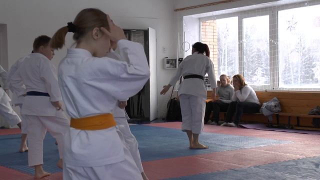 ката СК "БУДО" техника каратэ смотреть онлайн