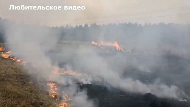 Пожар в лесу на окраине Тайшета смотреть онлайн