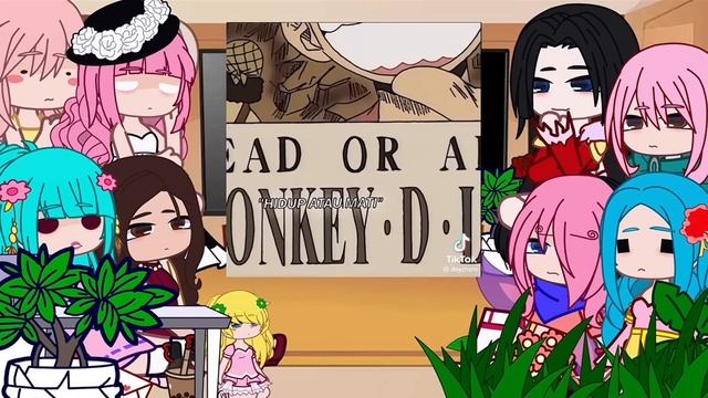 One Piece Princesses React To Luffy || One Piece