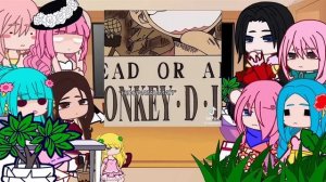 One Piece Princesses React to Luffy || One Piece