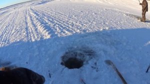 Окунь и щука на VIB. Рыбалка с дедом на Оби.