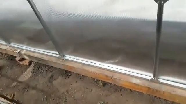ТЕПЛИЦА КАПЕЛЬКА. УСИЛЕННАЯ ТЕПЛИЦА КАПЕЛЬКА. СБОРКА ТЕПЛИЦЫ. Теплица Капля 30 цинк, 21.05.16. смотреть онлайн