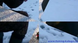 Народный самотряс 1