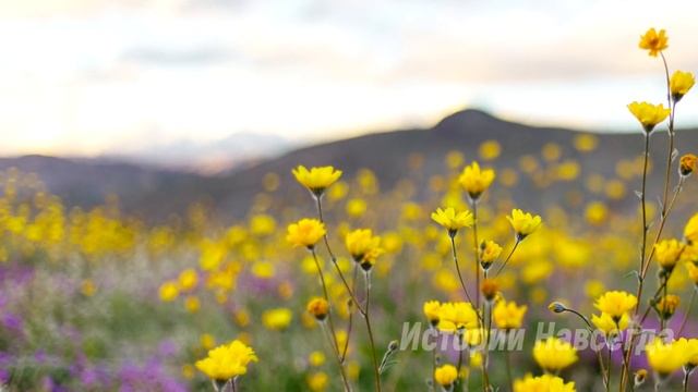Бомж отдал последнее девочке и жизнь его вознаградила… смотреть онлайн