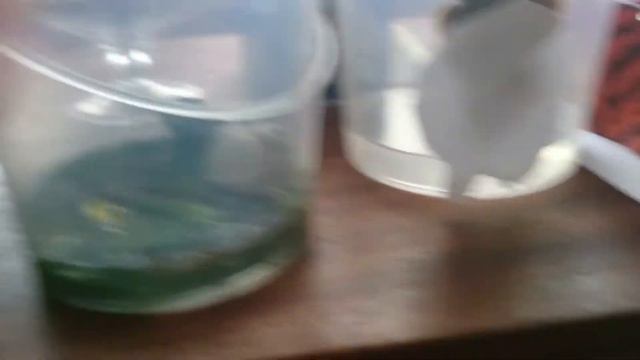 Жизнь животных (улитки) #1 смотреть онлайн