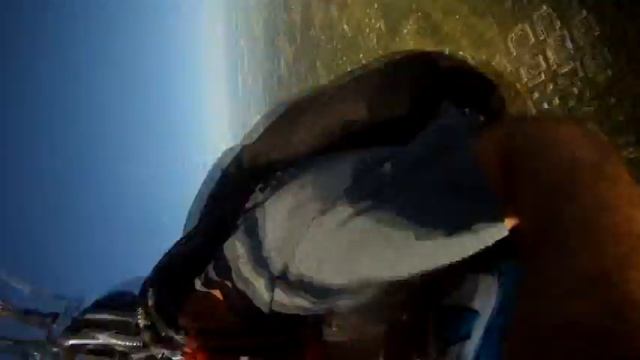 Skydive Collegeville смотреть онлайн