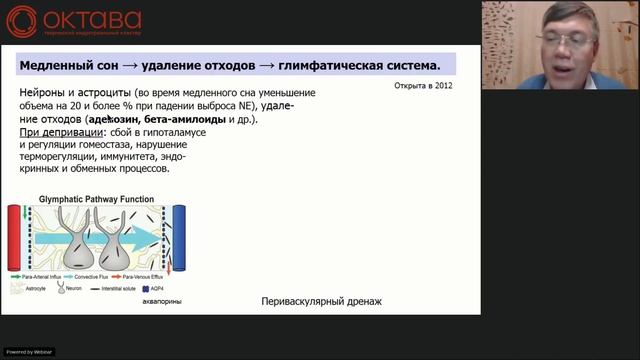 Вячеслав Дубынин. Мозг и сон