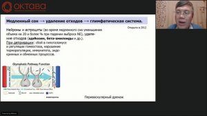 Вячеслав Дубынин. Мозг и сон