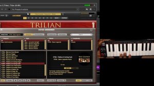 Unlock the Power of BASS VST - Spectrasonics Trilian    (Miller, Laboriel, Patitucci) 🔥🔥