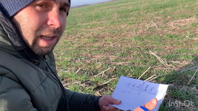 Когда делать первую подкормку озимой пшеницы ? Какая озимая пшеница выдержит морозы лучше? смотреть онлайн