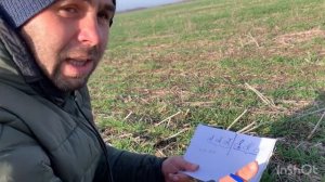 Когда делать первую подкормку озимой пшеницы ? Какая озимая пшеница выдержит морозы лучше?