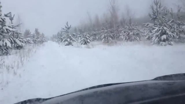 Лес смотреть онлайн