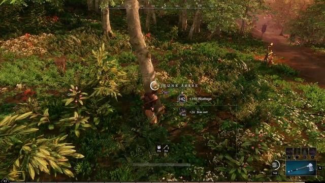 Le bûcheron du nouveau monde - épisode 117 смотреть онлайн