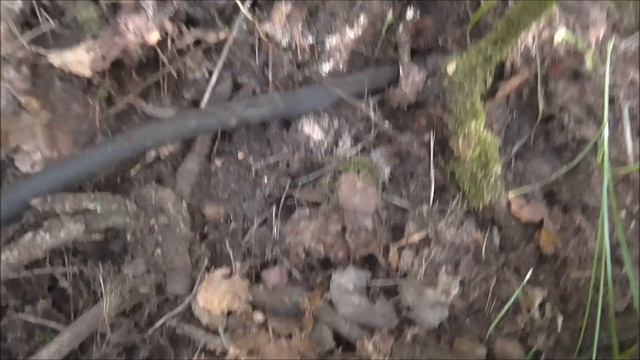 Коп металла - 10000 рублей за день. Нужно бооольше меди! смотреть онлайн