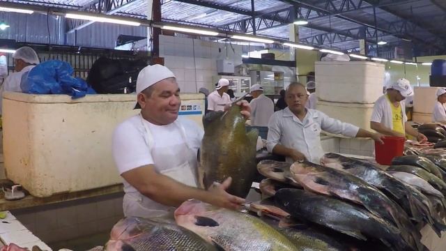 A visit to the fish market in Manaus, Amazonas, Brazil смотреть онлайн