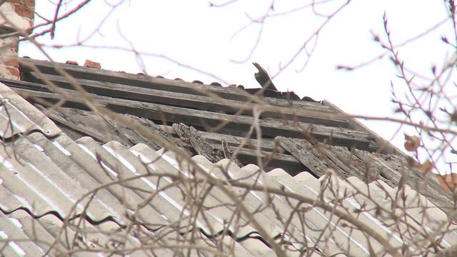 Жителей Улицы Трубачеева может придавить печкой смотреть онлайн