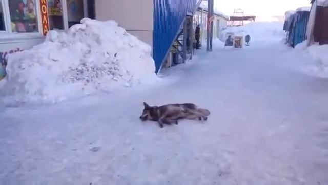 video 6000d070bd990e7e3c5d7ef91796b56f883dafa0aab79f6e6c845edf99b6cc5a V смотреть онлайн