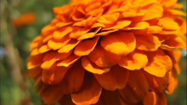 Снится мне деревня 0001 смотреть онлайн