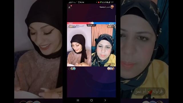 بث لطيف / نورس الحب مع وائل || وائل يعصب بنورس على اللايف|| 31/10/2023 смотреть онлайн