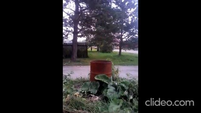 днём 31.05 смотреть онлайн