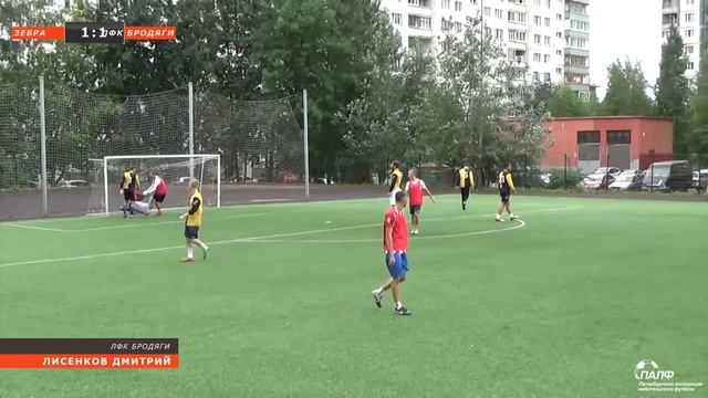 ПАЛФ Чемпионат в СПб 8x8. Зебра - ЛФК Бродяги (обзор) смотреть онлайн