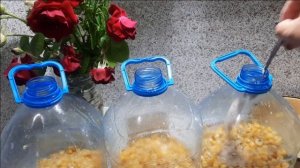 "Пьяная" кукуруза, "кислая" кукуруза, для закорма места для рыбалки,отлично работает на течении и..