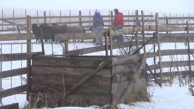 Оля и Евро. Сдача ТПИ. смотреть онлайн