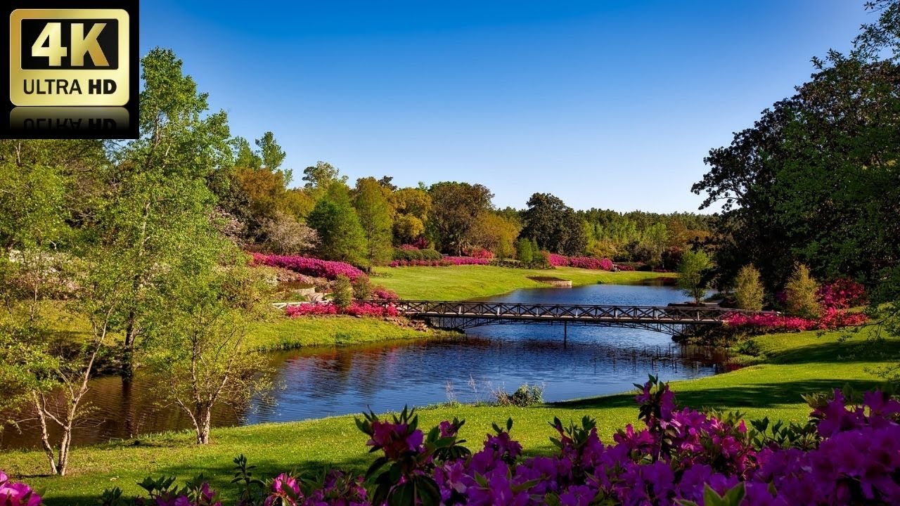 3 минуты удивительных природных пейзажей и расслабляющей музыки для снятия стресса смотреть онлайн