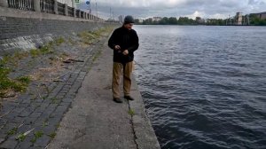 Стритфишинг по Невски. Ловля на дропшот и отводной.