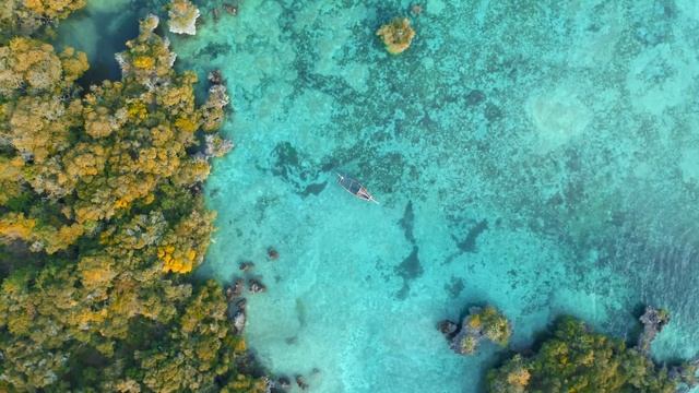 1 Hour Relaxing Music. Calm Your Soul Sounds For Chill. 4k Relaxation Nature Videos