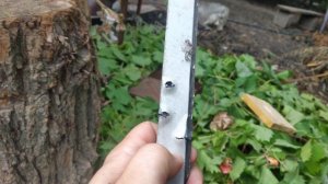 Hatsan striker edge , ХАТСАН СТРАЙКЕР , ВЫБОР ПУЛЬ , ДИЗЕЛЬ ЭФФЕКТ , КОРОТКО И НАГЛЯДНО !