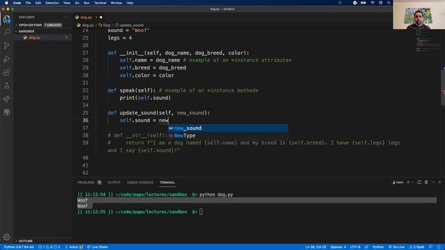 W2D1: Introduction to OOP / Classes in Python (2 of 2) смотреть онлайн