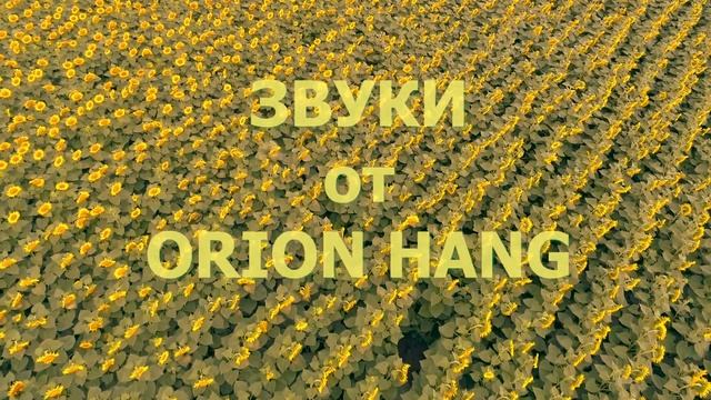 МУЗЫКА ДЛЯ ДУШИ/ ВЫСОКИЕ ВИБРАЦИИ /ЗВУКИ ХАНГА ОТ Orion hang смотреть онлайн