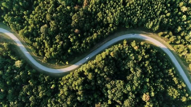 Сбежавшего алабая нашли в тайге, он пытался спасти 3 крохотных жизни, но главный сюрприз был вперед смотреть онлайн