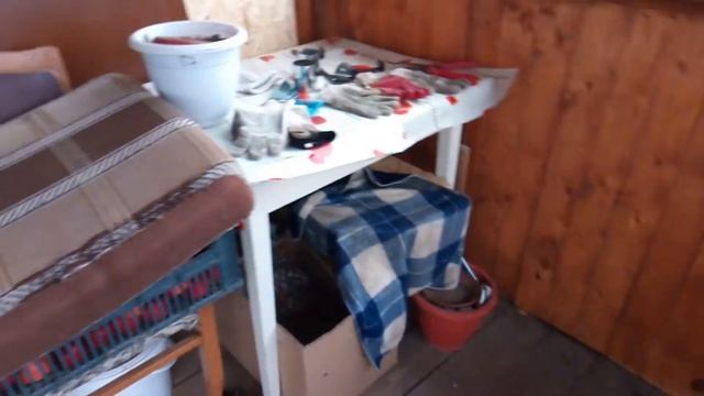 НЕДЕЛЯ КАНИКУЛОВЛОГОВ. День 1 Когда забор? смотреть онлайн
