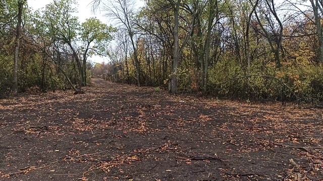 Петарды плюс Пеньки/// Кирдык, Р-8000, Карсар-12, Граната!!! смотреть онлайн