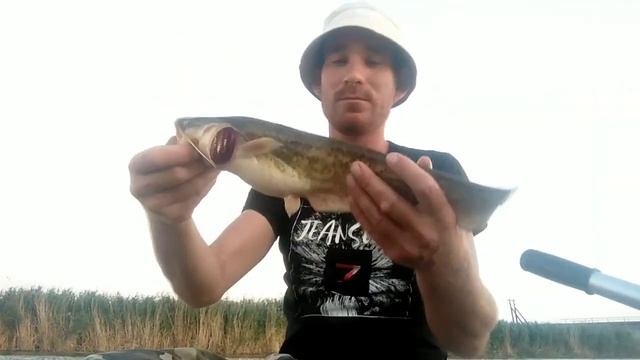 Выезд на сома! Квок 2020 смотреть онлайн