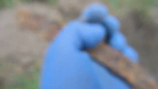 Монета Анны Иоановны, Николая II и много других! Отлично покопал! смотреть онлайн