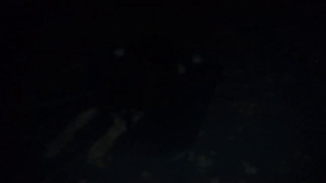 Вечерний урок команды лежать.