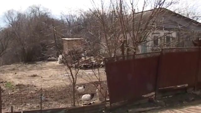 Жительница ст.Холмской опасается, что ее дом в скором времени упадет в реку. смотреть онлайн