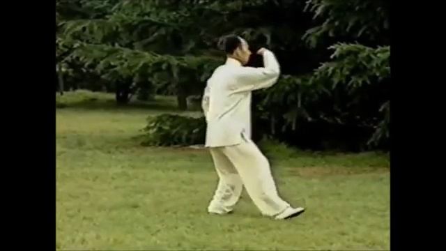 108 форм Тайцзицюань стиль Ян, Мастер Лю Гаомин смотреть онлайн