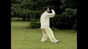 108 форм Тайцзицюань стиль Ян, Мастер Лю Гаомин